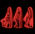 Proveedor de Zapas